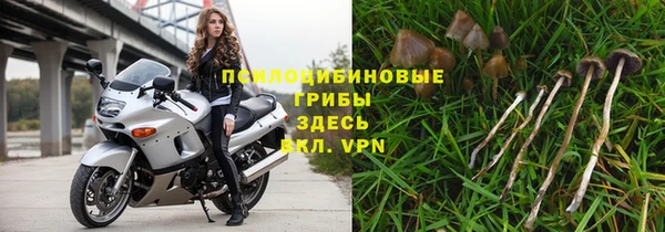 apvp Володарск